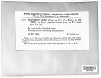 Image Associated With the Occurence